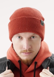 CLE 453342аш Шапка мужская