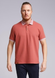 CLE 542185/03шаф Поло мужское