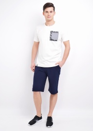 ЭЙС 600947а Шорты мужские