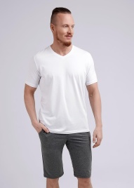 CLE 601716/8фэ Шорты мужские