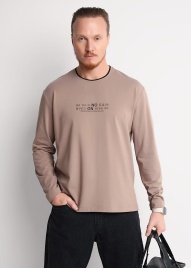 CLE 562666/03г_п Джемпер мужской