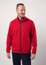 CLE 552536/12сд_п Толстовка мужская