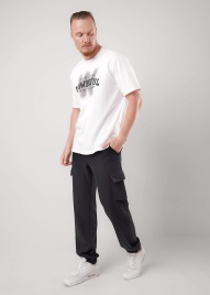 CLE 452612/09т Брюки мужские