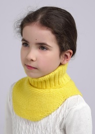 CLE 433883ап Манишка