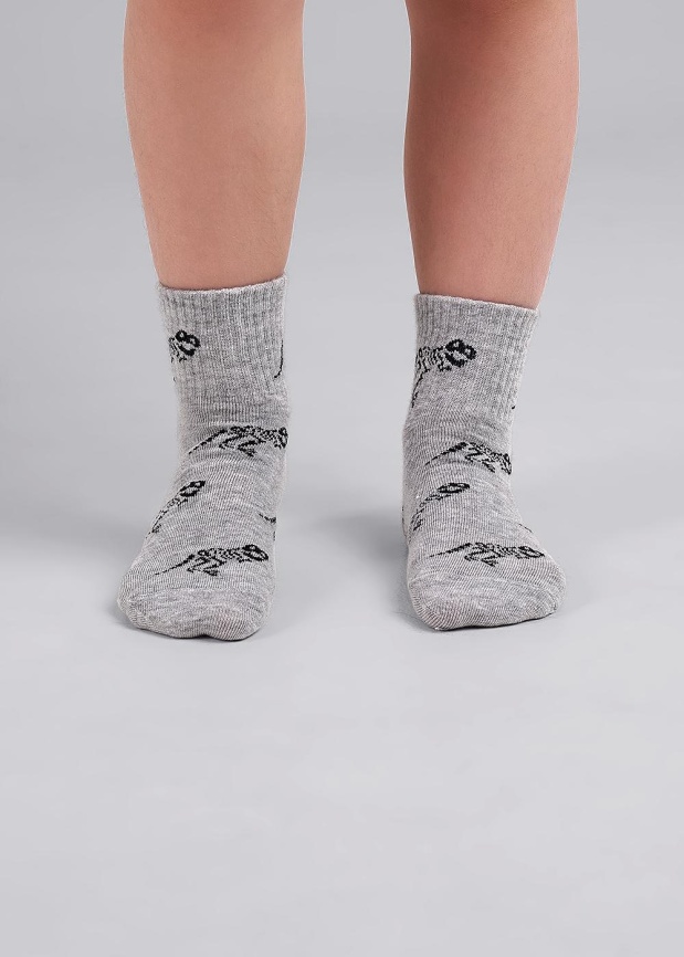 CLE С1489 24 Носки детские для мальчика фото 1