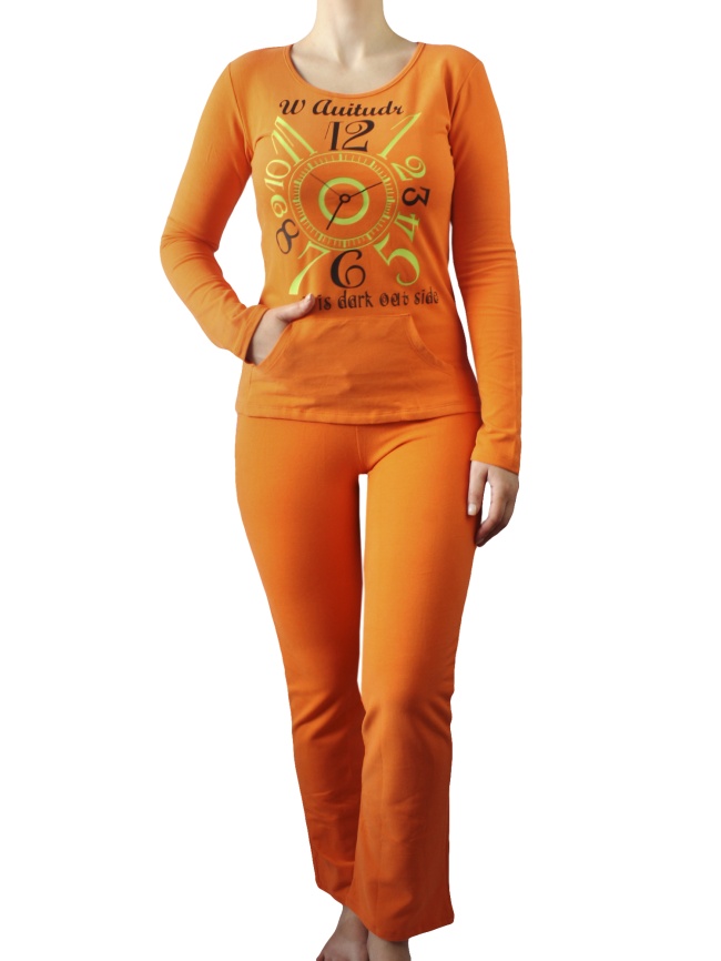 Пижамы для женщин с брюками ( длинный рукав/утепленные)  88021 фото 4