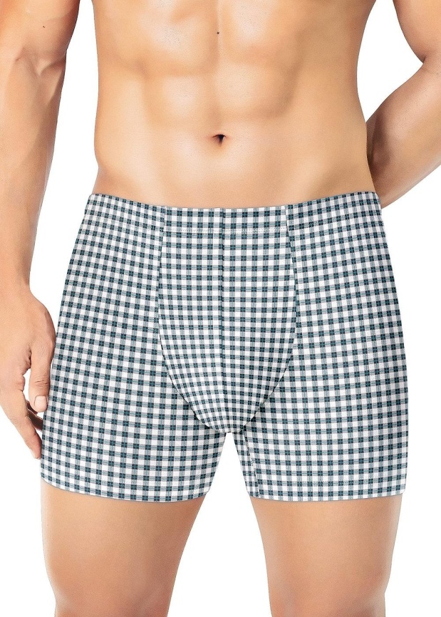 ЭЙС 600204 Трусы мужские шорты фото 6