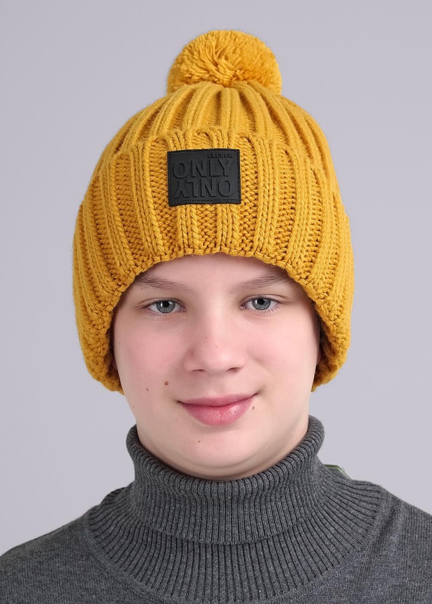 CLE 444154ап флис Шапка детская фото 1