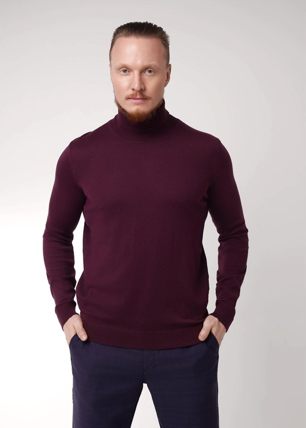 CLE 654357ха Водолазка мужская фото 1