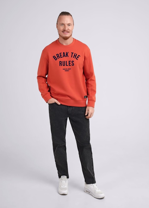 CLE 442459/19сд_п1 Джемпер мужской фото 1