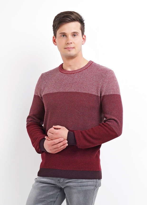 CLE 492616ха Джемпер мужской фото 1