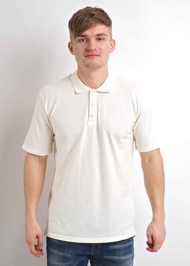 ЭЙС 600674з Поло мужское фото 1