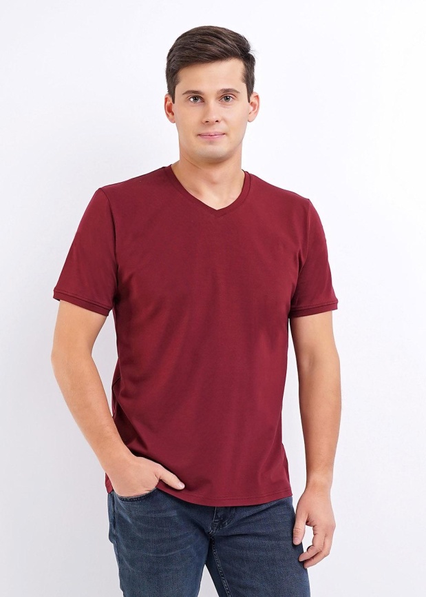 CLE 600431гп Футболка мужская фото 4