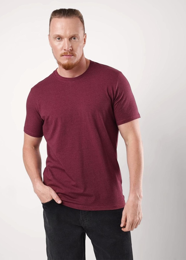 CLE 650309гн_п Футболка мужская фото 2