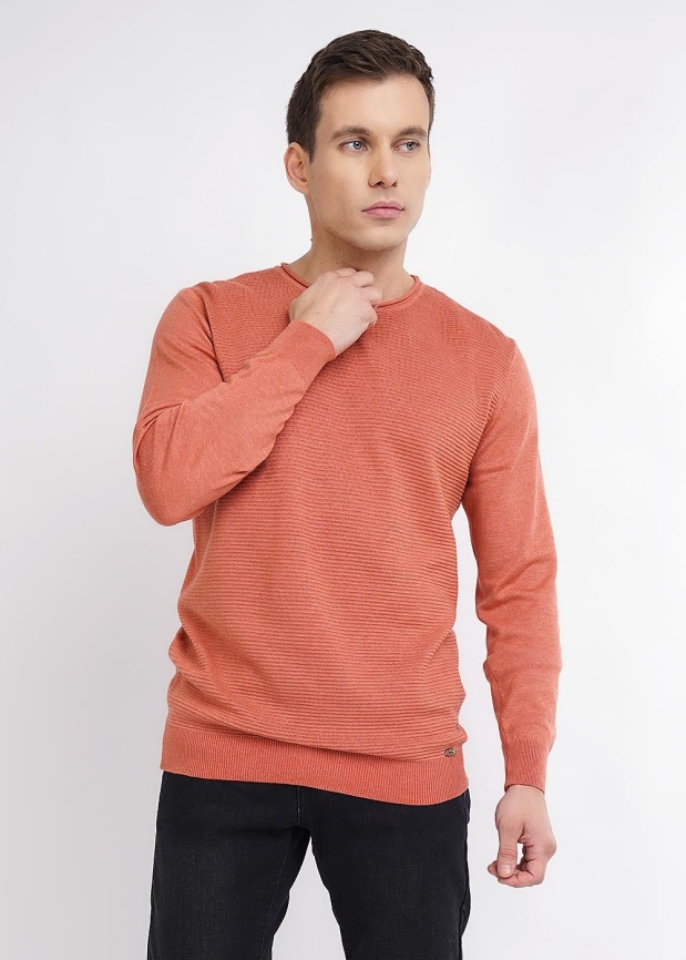 CLE 623436ха Джемпер мужской фото 2