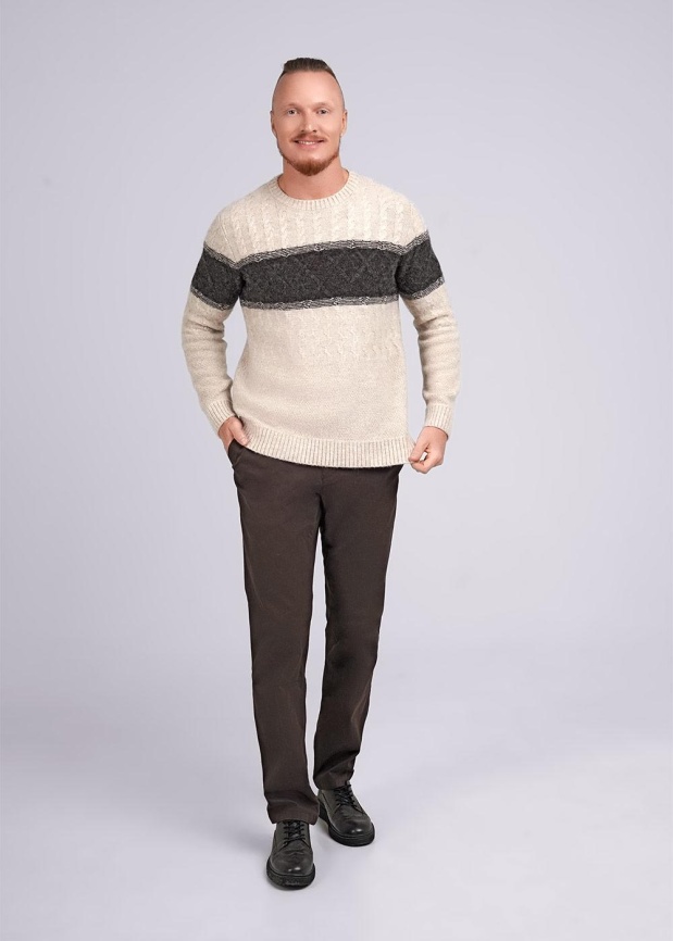 CLE 444294/21фэш Джемпер мужской фото 2