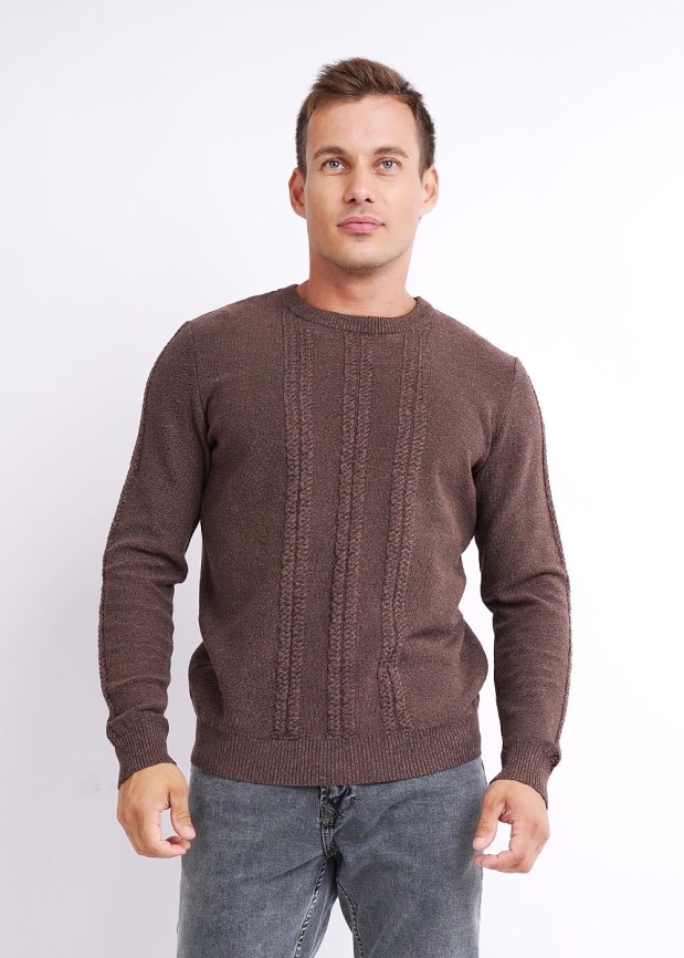 CLE 423663/96ха Джемпер мужской фото 2