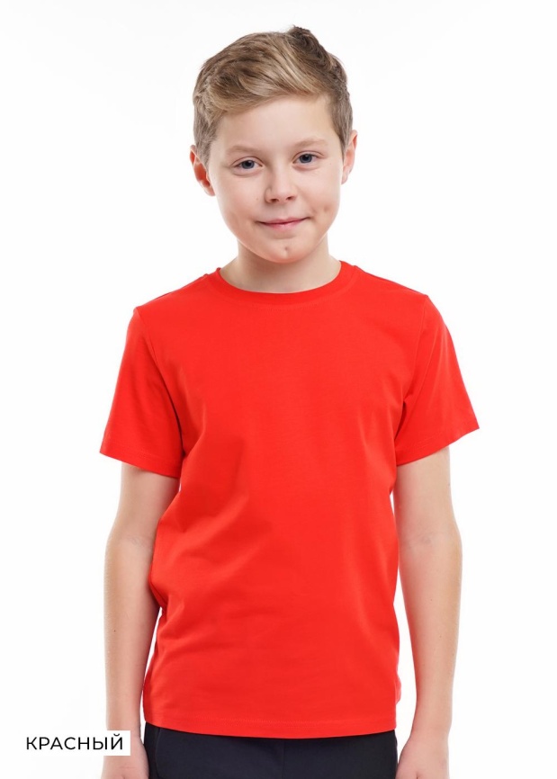 CLE 903161ко 68-84 фото 3