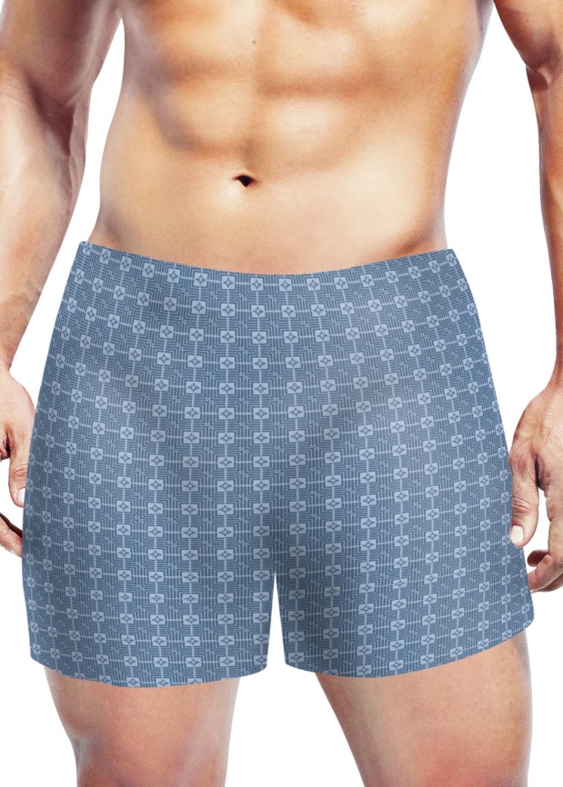 ЭЙС 600960/2 Трусы мужские боксеры фото 2