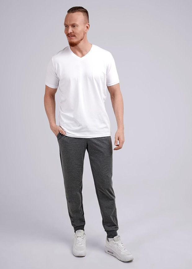 CLE 632204/1фэ maxi Брюки мужские фото 1