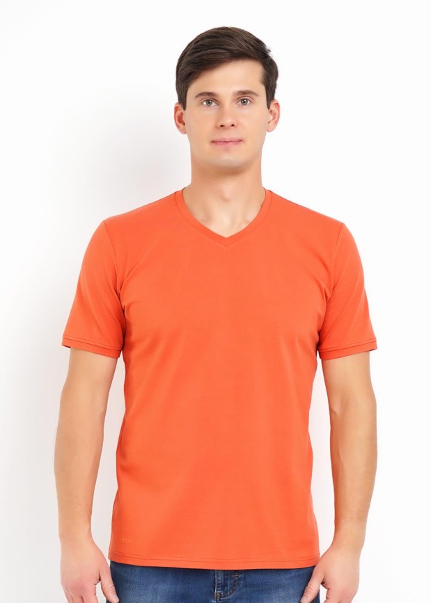 CLE 600431г_п Футболка мужская фото 4