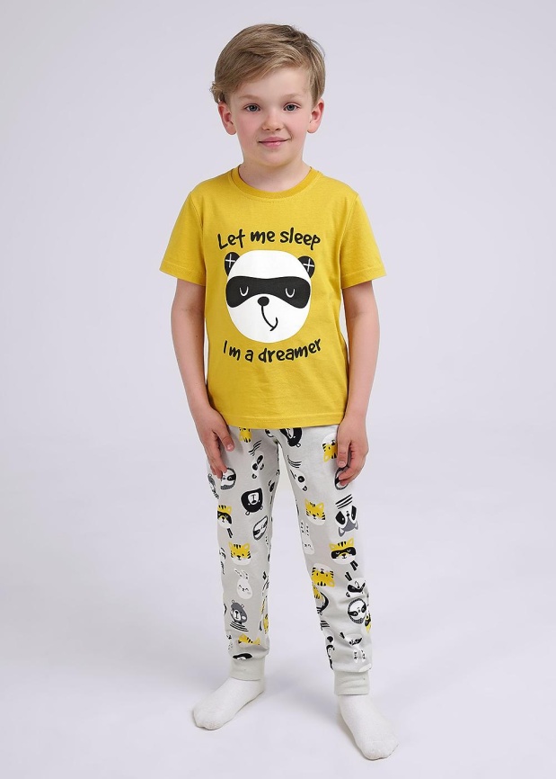 CLE 909533кд_п фото 1