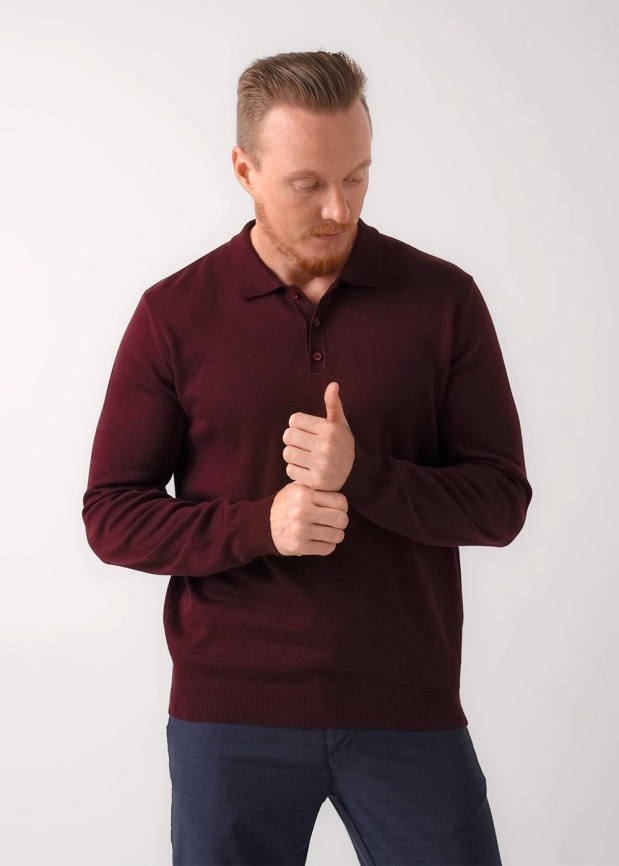 CLE 454565/11ха Поло мужское фото 2