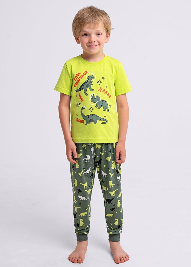 CLE 909533кд_п фото 2