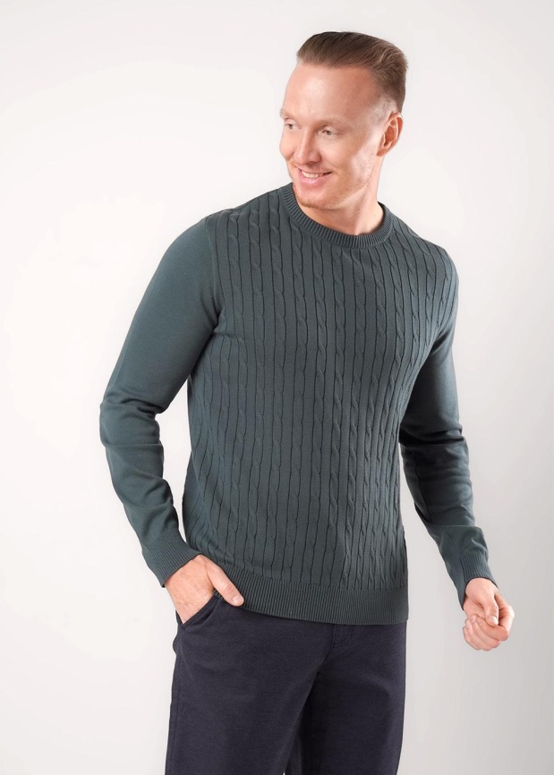 CLE 454556/15ха Джемпер мужской фото 1