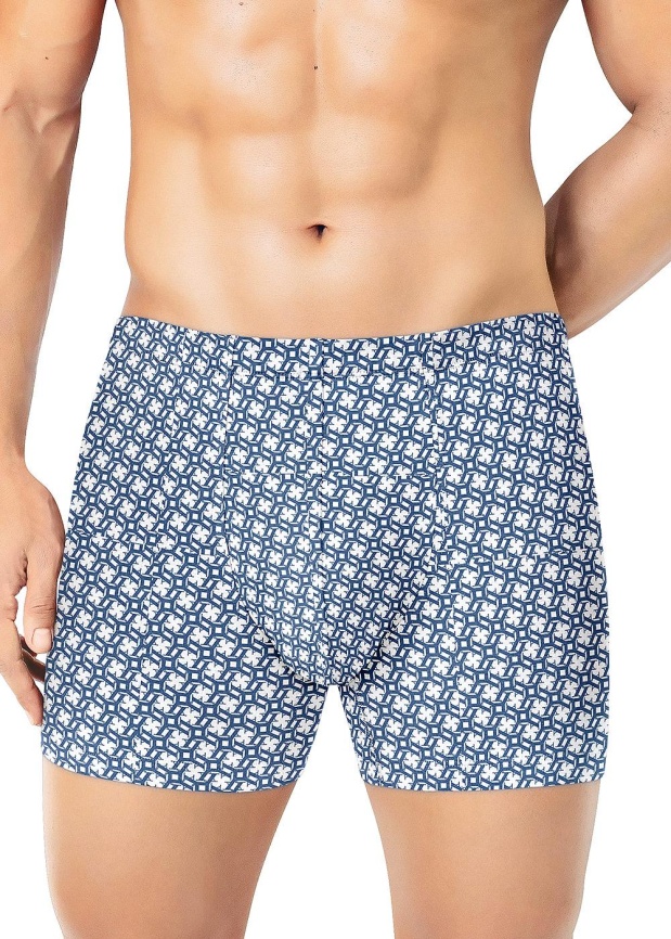 ЭЙС 600204 Трусы мужские шорты фото 2