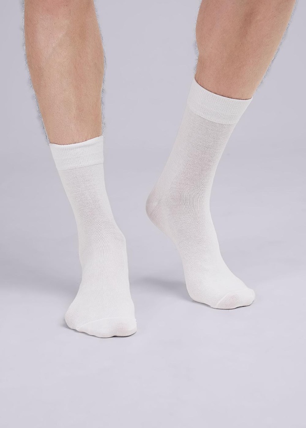 CLES M1003 Носки мужские фото 2