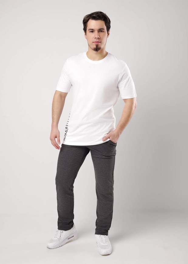 ЭЙС 600946/1а Брюки мужские фото 1