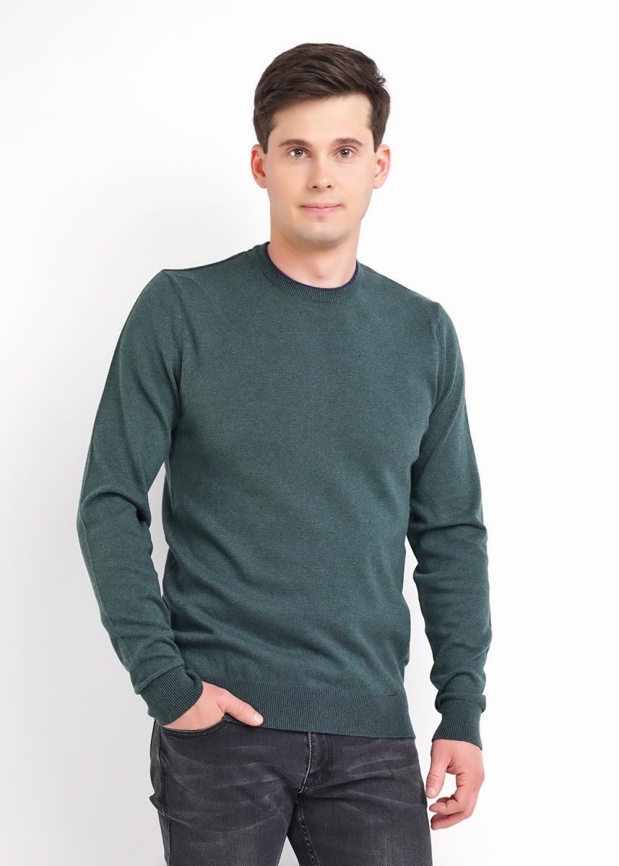 CLE 602807х Джемпер мужской фото 5