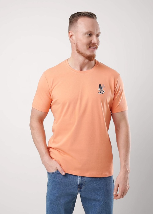 CLE 551978/21г Футболка мужская фото 1