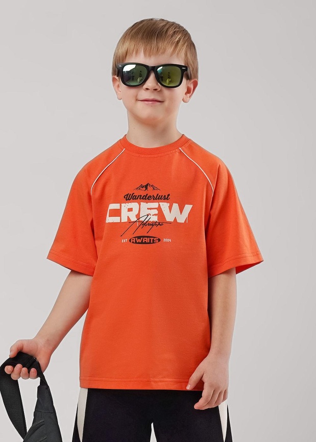 CLE 867324/12кд_п Футболка детская для мальчика фото 1